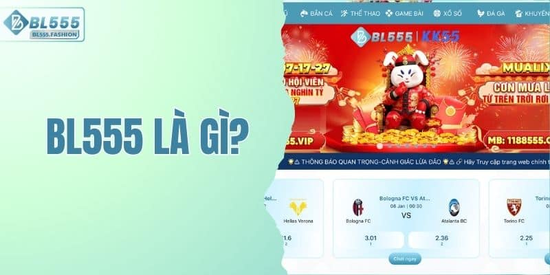 BL555 Là Gì
