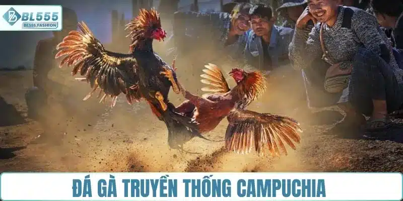 Đá gà truyền thống Campuchia - Lối chơi thiên về sức bền