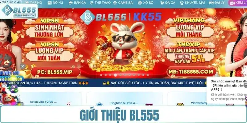 Giới thiệu BL555