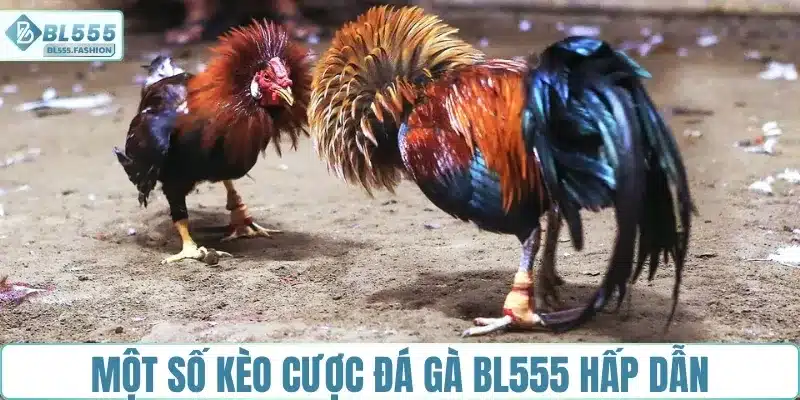 Một số kèo cược đá gà BL555 hấp dẫn